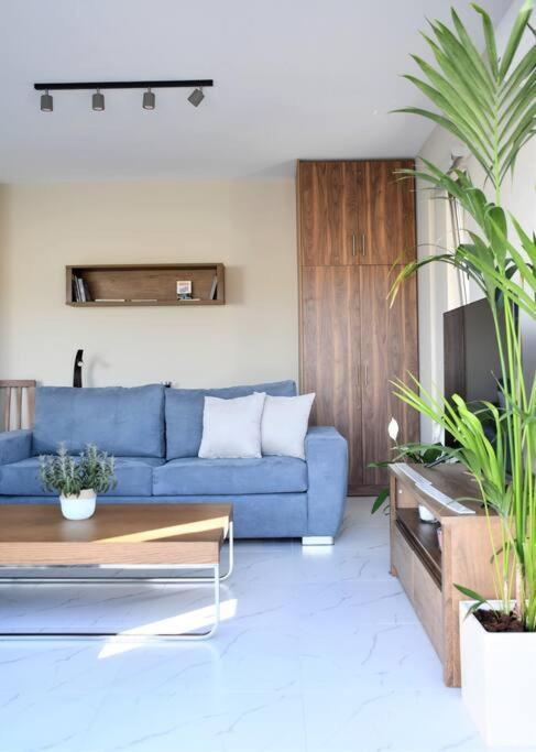 公寓 Spacious & Minimal Near Airport Peania Coniann Filoxenia